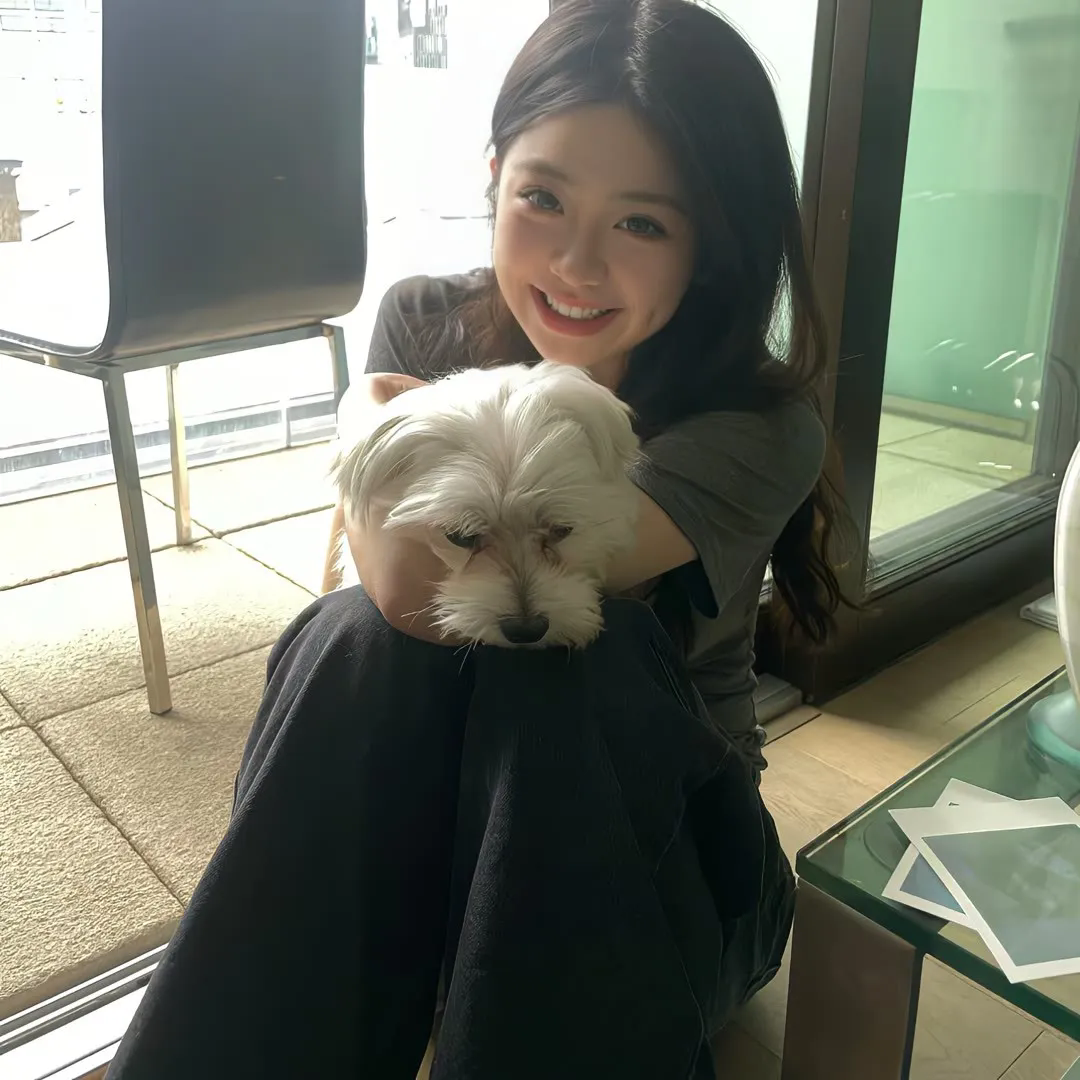 那年夏天有风吹过